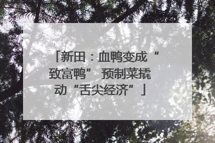新田：血鸭变成“致富鸭” 预制菜撬动“舌尖经济”